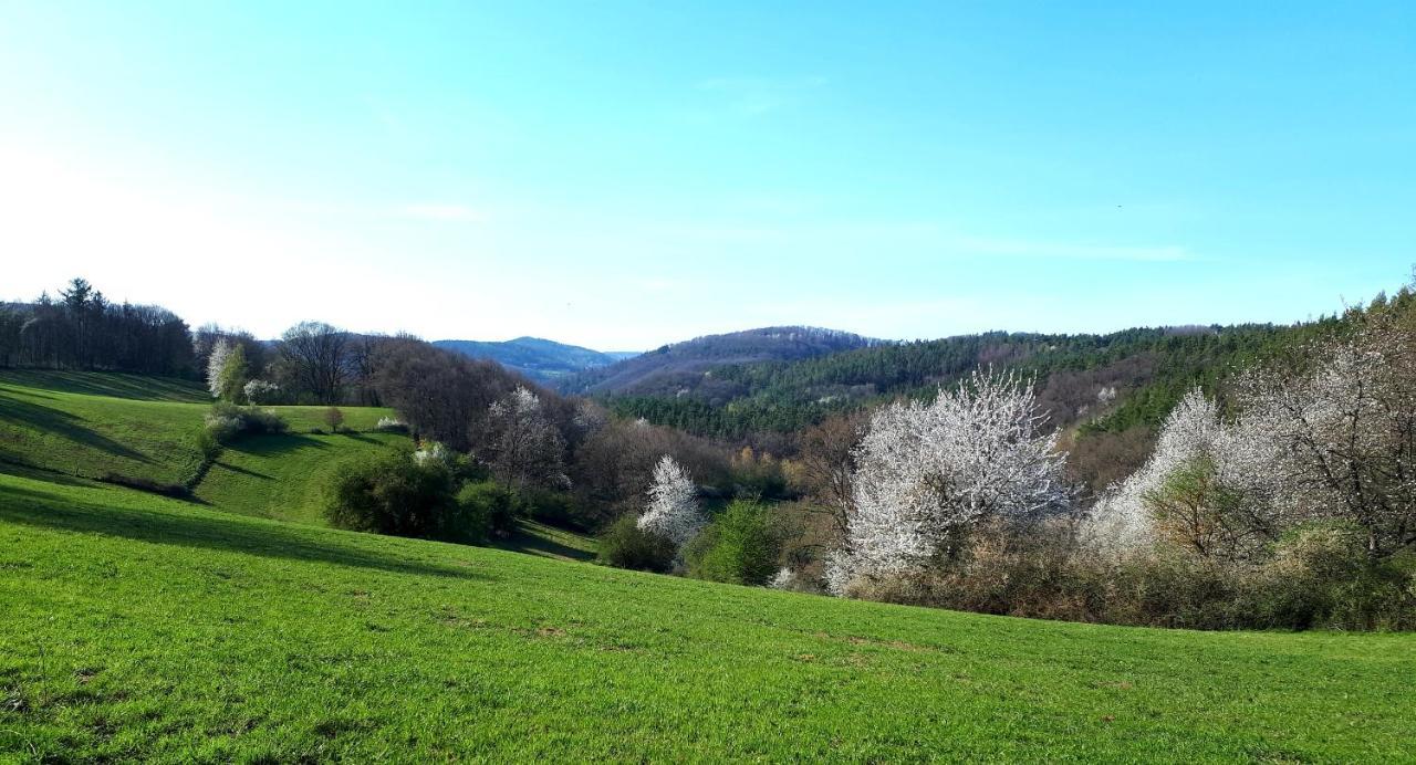 Ferienwohnung Lieblingsplatz für 2 Nideggen Exterior foto